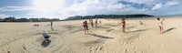 a group of people on a beach with sticks in the sand