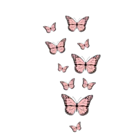 pink butterflies on a black background