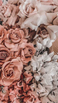 pink roses in a vase on a wooden table
