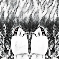 a black and white drawing of a pair of shoes