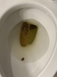 a toilet with a piece of bread in it