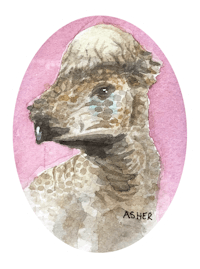 a watercolor painting of a llama on a pink background