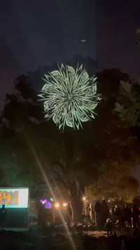 a firework is lit up in the sky over a tree