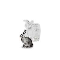 a black and white drawing of a rabbit on a black background