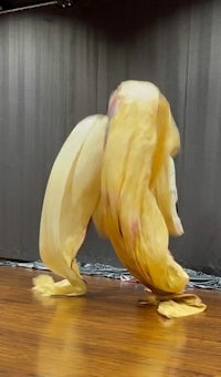 a woman is dancing on a wooden floor