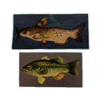 two fish on a black background