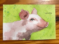 a watercolor painting of a pig