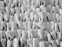 a black and white photo of teeth