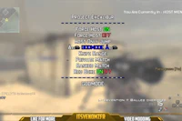 a screenshot of a call of duty game