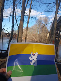 a person holding up a flag with a dog on it