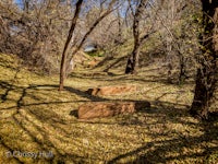 a group of wooden benches in a wooded area