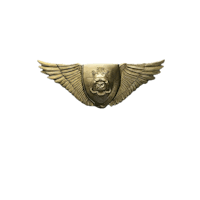 a gold emblem with wings on a black background