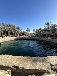 a view of a pool with palm trees in the background