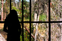 a silhouette of a woman looking out of a window