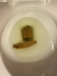 a toilet with a piece of bread in it