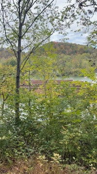 a wooded area with trees and a river in the background