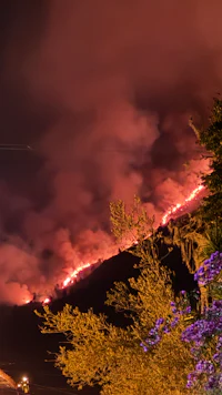 a fire burns on a hillside at night