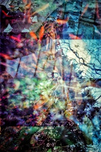 a blurry image of a tree in a glass window