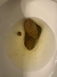 a toilet with a worm in it