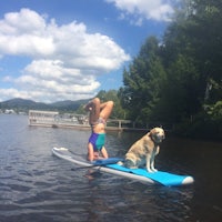 a woman on a surfboard with a dog in the water