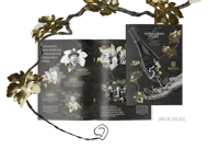a black and gold brochure with a leaf on it