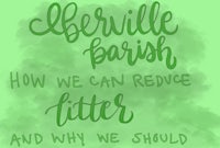 how we can reduce litter and why we should