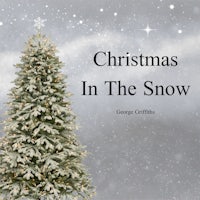 christmas in the snow