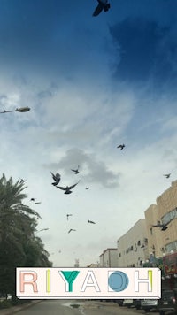 a group of birds flying over a street in riyadh