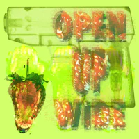 an image of a gun and a strawberry on a green background