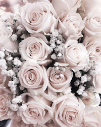 a bouquet of white roses and baby's breath