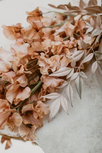 a bunch of dried flowers on a white surface