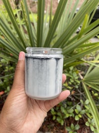 a person holding a candle in front of a palm tree