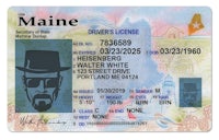 Maine State Driver's License 