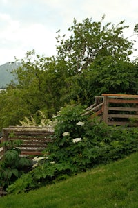 a wooden fence in a grassy area