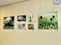 a group of paintings hanging on a wall