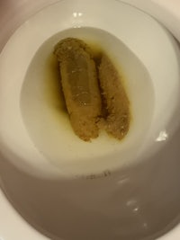a toilet with a piece of bread in it