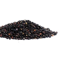 a pile of black seeds on a white background