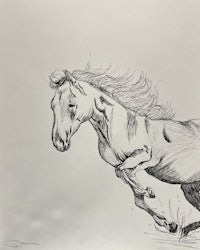 a drawing of a horse running in the grass