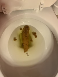 a toilet with a piece of weed in it