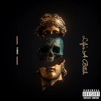 the cover of the album,'life of a king'