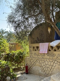 a woman is sitting under a tree with her clothes on a line