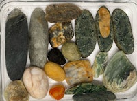 a collection of rocks in a clear plastic container