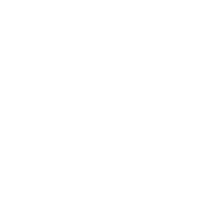 chromonic logo on a white background