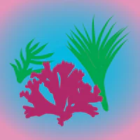a pink and green plant on a pink background