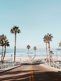 a road leading to the beach with palm trees in the background
