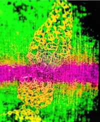 an abstract image of a green, yellow, and purple background