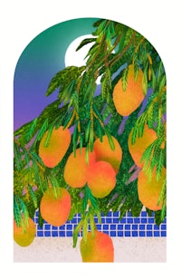 a drawing of a tree with oranges hanging from it