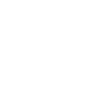 a white tree with roots in a circle