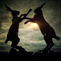 two silhouettes of hares fighting in front of a sunset
