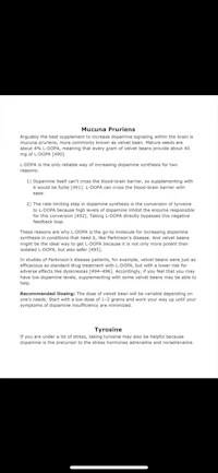 a black and white image of a document